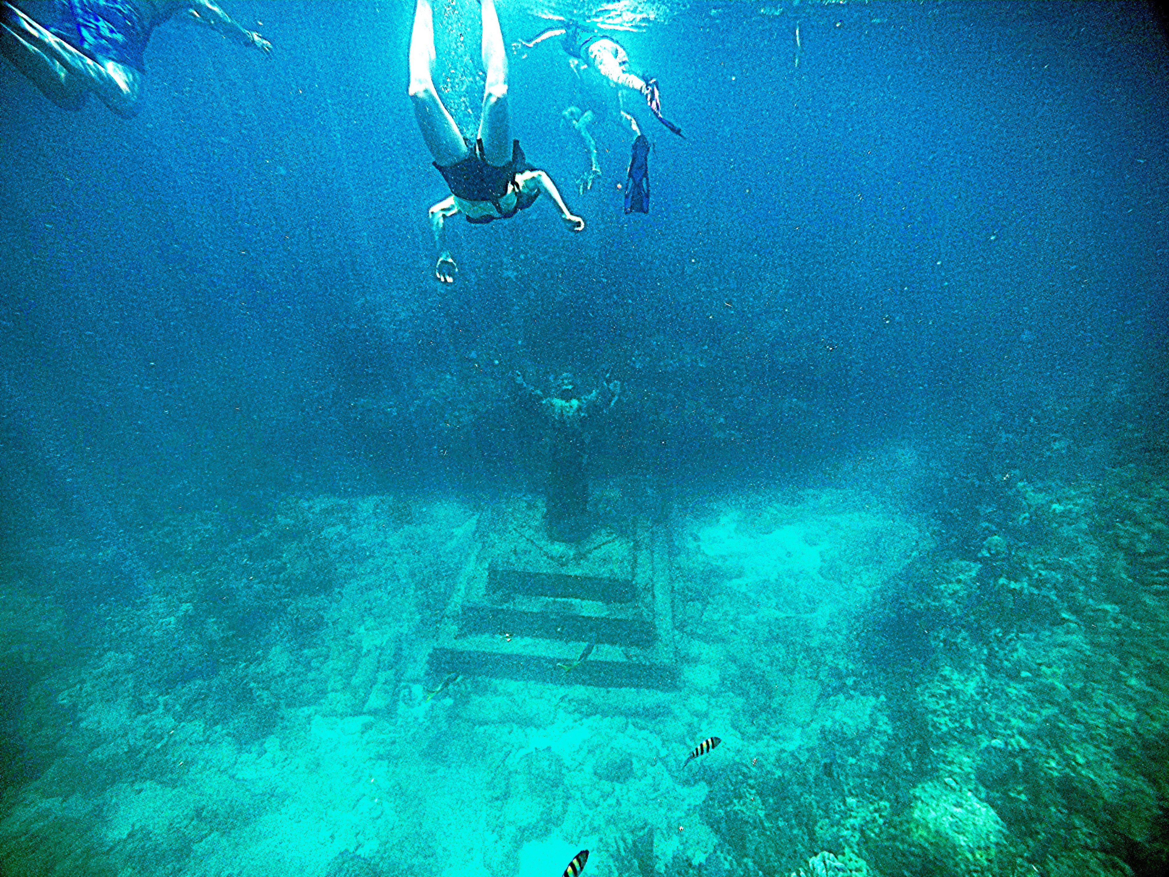 Snorkelers and divers exploring underwater statue on reef