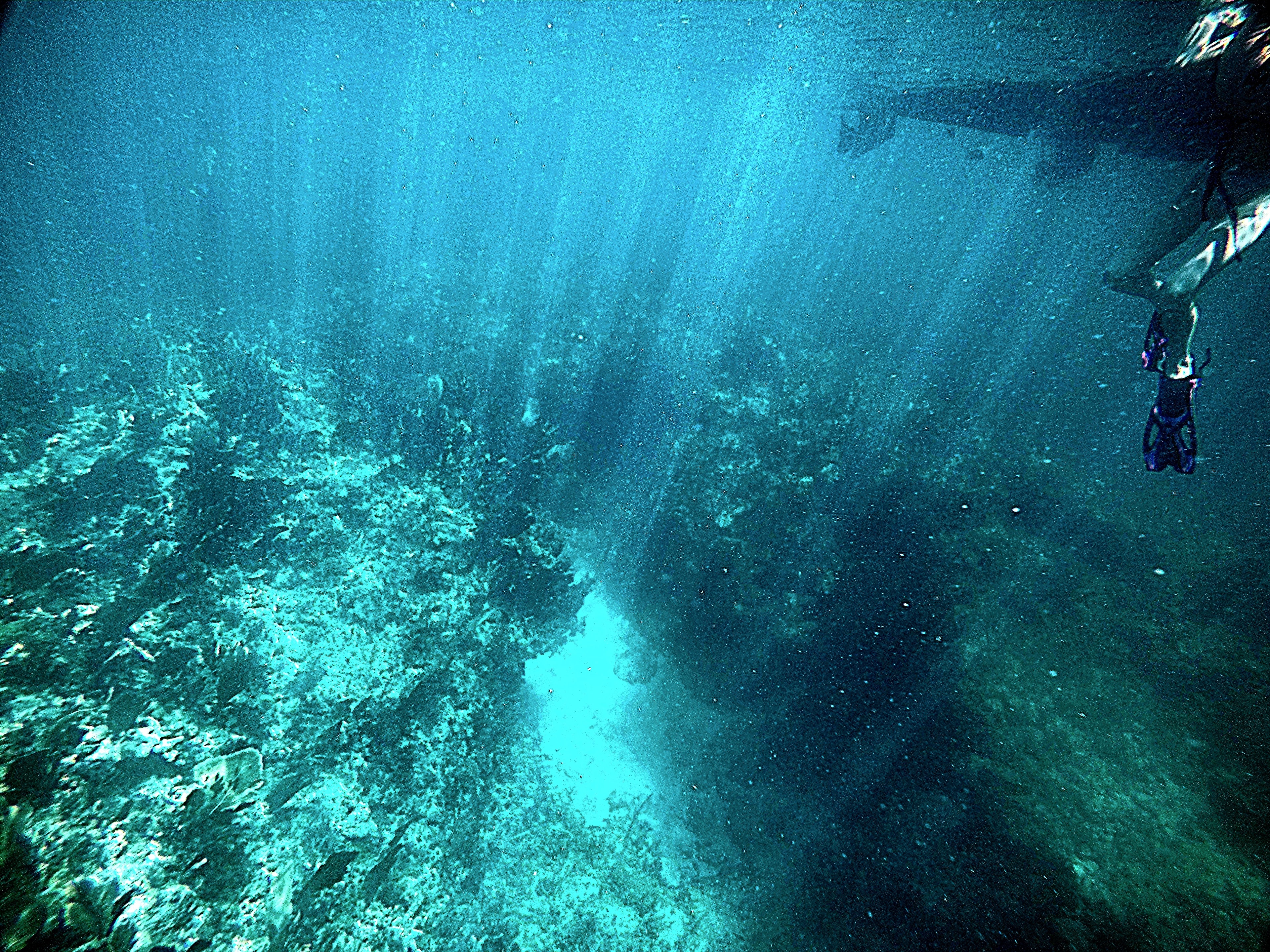 Freediver descending through underwater canyon with light rays