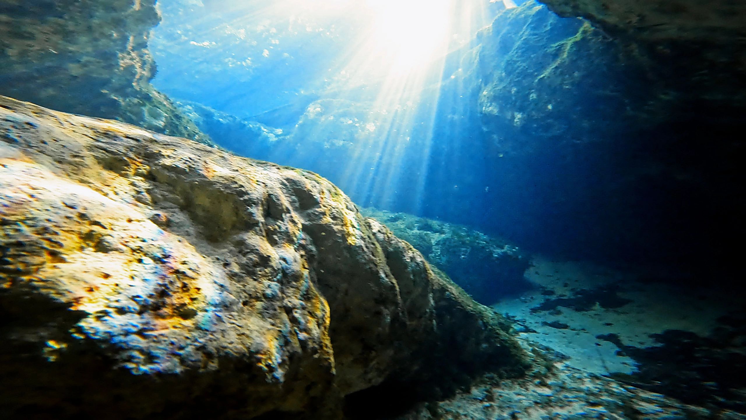 Sunlight rays from seafloor looking up